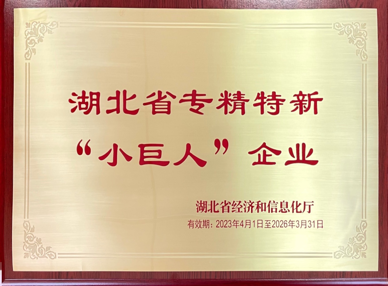 湖北省专精特新“小巨人”企业